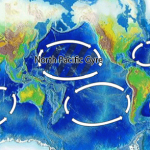 The Garbage Patch is located within the North Pacific Gyre, one of the five major oceanic gyres.